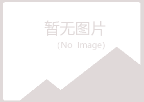 大理州夏岚咨询有限公司